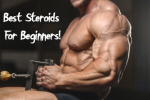 Best Steroids For Beginners